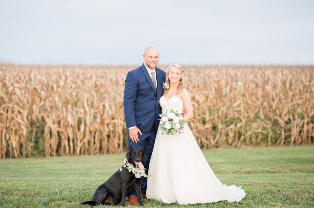 Dog at Wedding by Katelyn Prince Photography